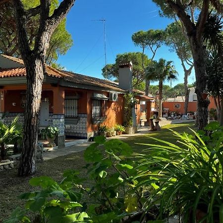Chalet Los Pinos Con Piscina Privada Ново-Санкті-Петрі Екстер'єр фото