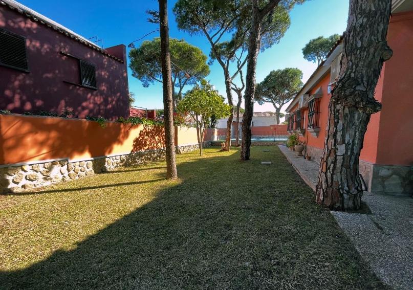 Chalet Los Pinos Con Piscina Privada Ново-Санкті-Петрі Екстер'єр фото